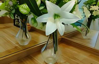 Apto. próx. Perini Business Park, UFSC & Whirlpool - Photo 16