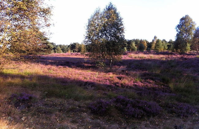 Apartment at the Eichenpark - Foto 17