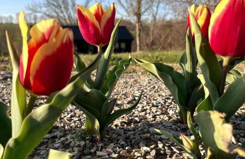 #4 Kentucky Bourbon Trail Bourbon Barrel Cottages - Foto 2
