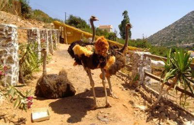 Stone Village Hotel Apartments - Foto 63