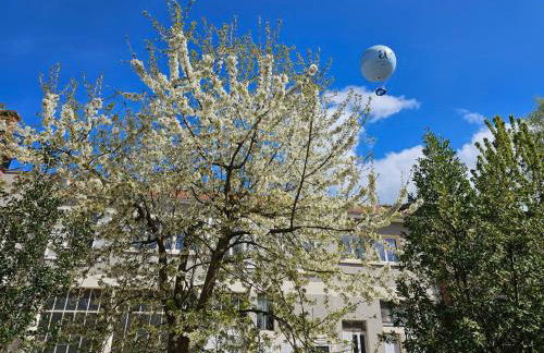 Métamorphose Champenoise - Foto 34