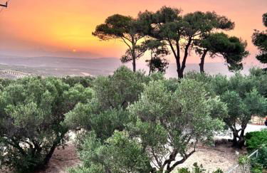 Stamnelia Villa - Photo 69