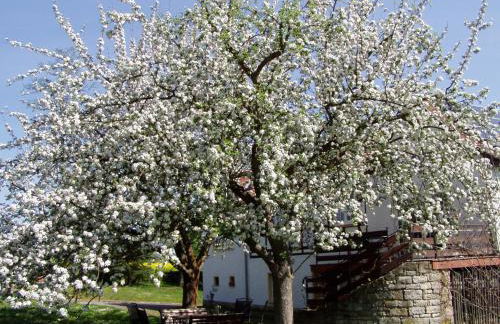 Ferienwohnung Obermühle - Photo 15
