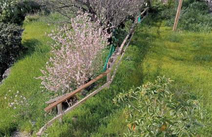 El Rincon del Nublo - Foto 19