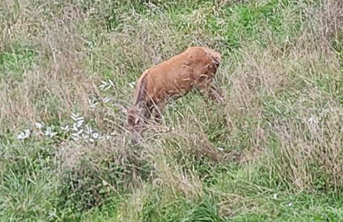 La Casina del Salice - Foto 68