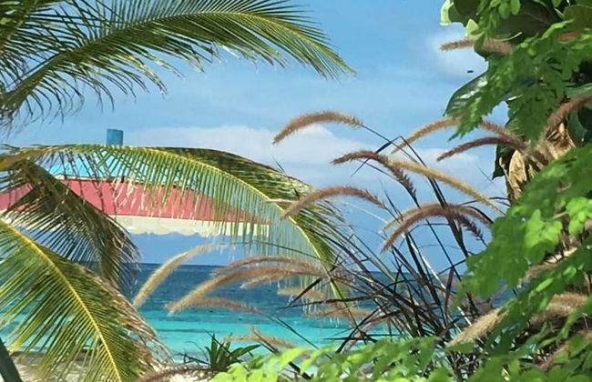 Je Suis Jamaica - 4 B R Beachfront Villa w Staff - Photo 2