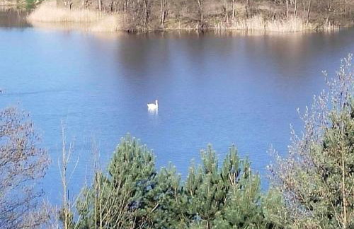 Dom za wydmą - Foto 40