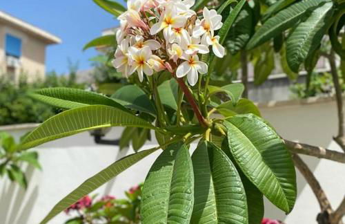 VILLA DELLE POMELIE - Foto 33