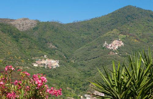 Villa dell'Erta - Levanto - Foto 16