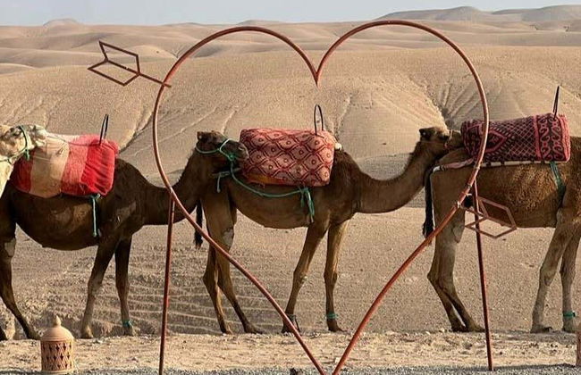 Nuit dans le désert d’Agafay - Photo 22