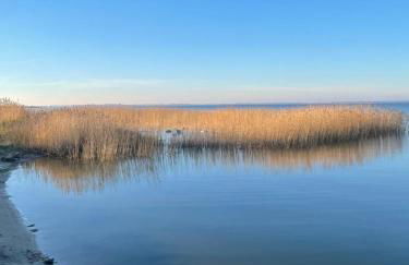 Ferienhaus am Saaler Bodden - Foto 36
