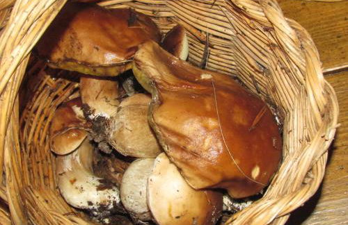 Casa Rural la Esperilla de Gredos - Foto 45