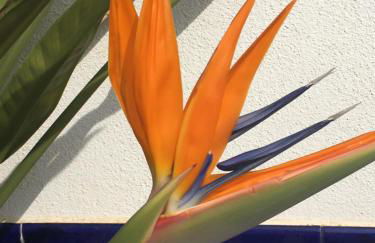 Apartamentos Turísticos Los LLanos - Foto 48