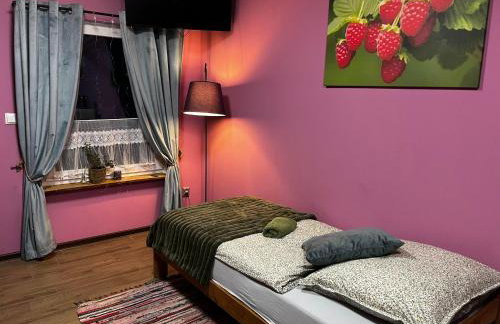 Agroturystyka Mirabelkowe Zacisze - Foto 72