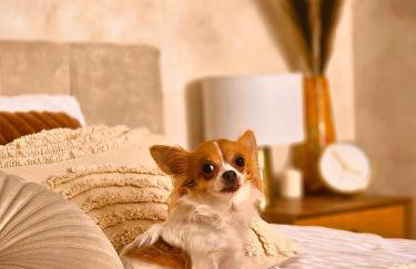 Apartamenty Paryskie Old Town View - Foto 74