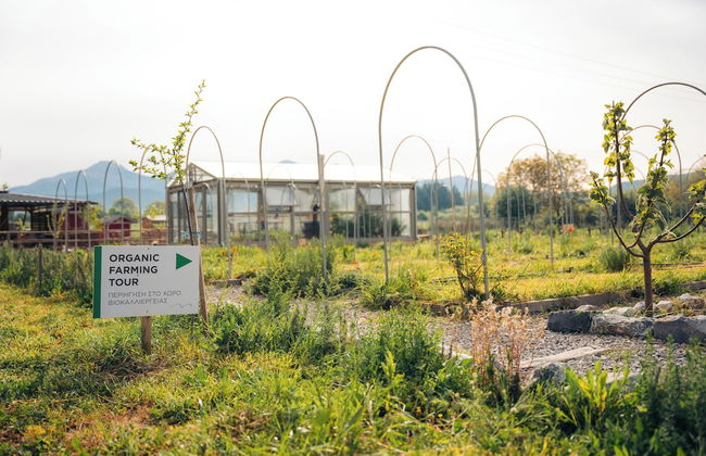 Milea Agritourism - Foto 69