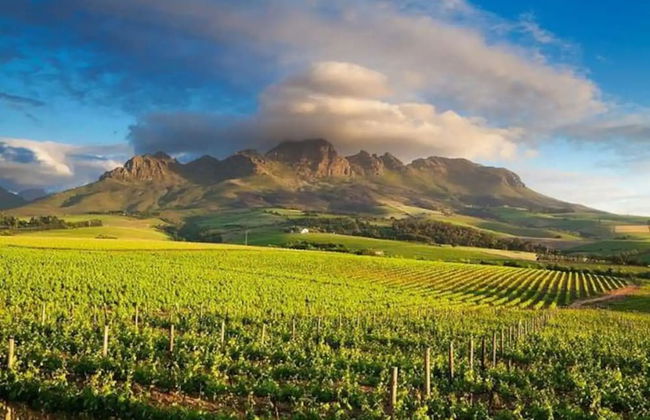 1bedroom With Tablemountain View - Photo 13