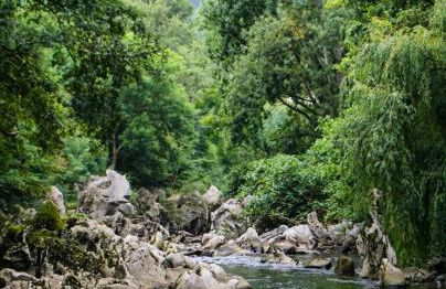 HdeC Hosteria de Castañeda Alojamiento Turistico - Foto 62