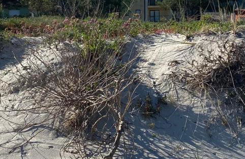 Apto 2 dorm en primera línea de Playa Langosteira con garaje y wifi - Foto 23