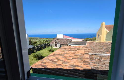 Flor da Natureza - Natureza - Photo 12