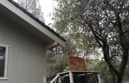 Lovely Mountain Lake Chalet by Yosemite: Equipped! - Foto 13