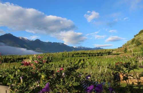 La Vita in Campagna - Foto 48