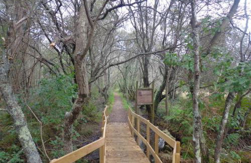 Merim Apartments - Foto 43