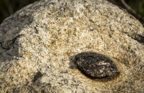 Ti`Justina Country House - Foto 29