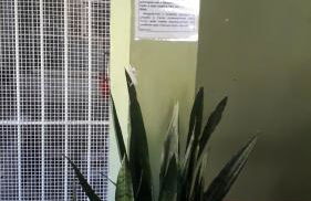 Pertinho da Mata - Foto 23