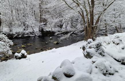Ariège, agréable T2 en bord de rivière - Foto 5