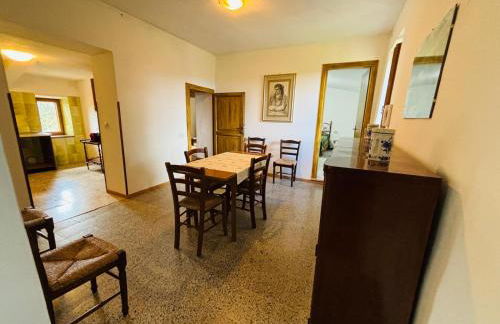 Predio Palazzo - Foto 13