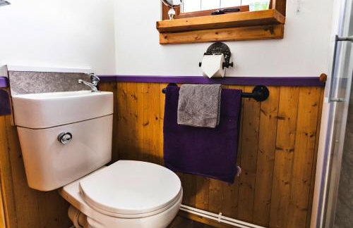 Finest Retreats - Weardale Shepherds Hut - Foto 13