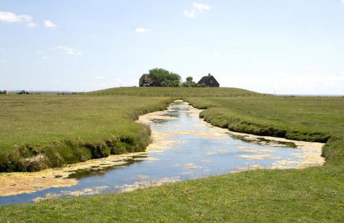 Gästehaus Neuwarft - Foto 19