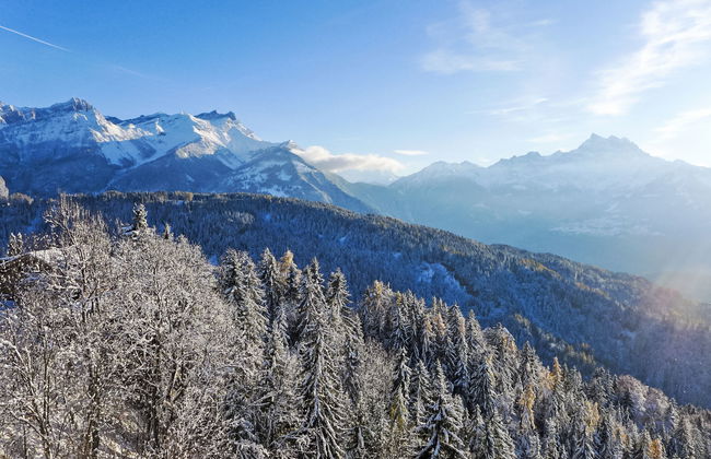 Le Bristol C54 - Foto 20