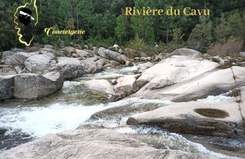 Maison de Plage à pied San Cipriano 5 pers - Foto 19