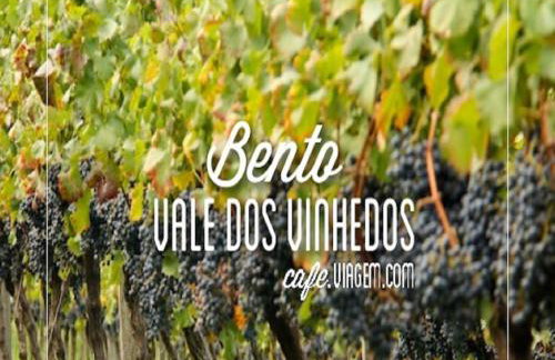 Casa das Palmeiras + Quiosque - Foto 74