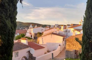 Olive -Casa da Boavista - Foto 11