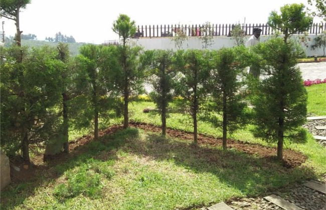 Rock Ooty Heritage Villa - Foto 22