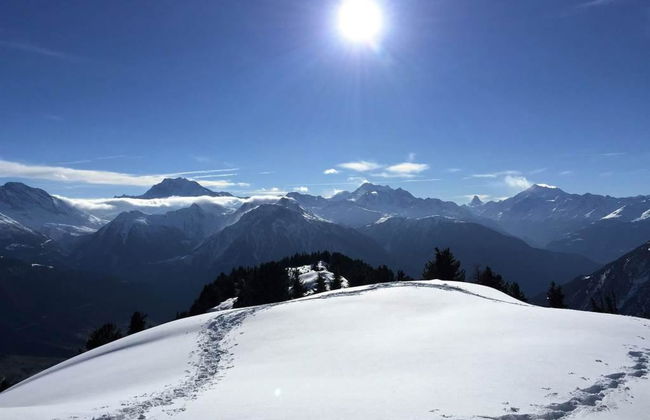 Amici 1. OG West - Foto 25