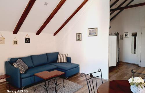 Studio apartman u renesansnoj vili - Foto 10