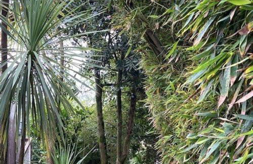 Villa d'exception avec terrasses spacieuses à Cap-Ferret - FR-1-736-57 - Photo 25