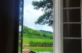 Casa da Vó Hospedagem Afetiva - Foto 5