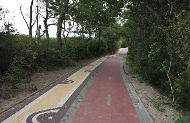 Domki Letniskowe Amelia - Foto 19