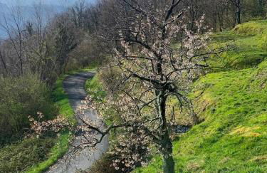 Basilico Apartment with stunnung views - Foto 5