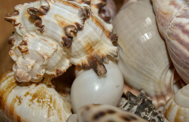 Apartments Hrabar - Photo 25