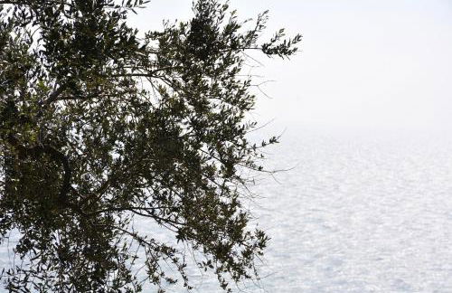 La Torretta - Foto 19