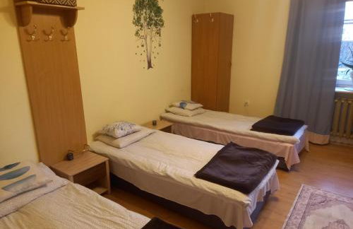 Owocowa Chojnata - Foto 4