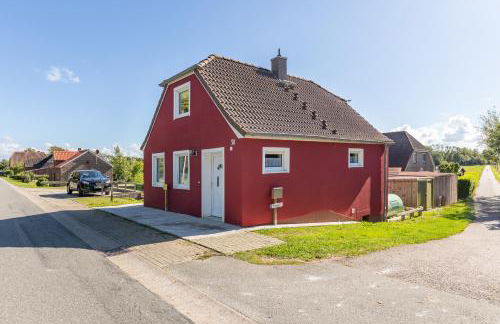 Wiesenpieper - Photo 24