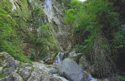 Natura tra bosco e lago - Foto 44
