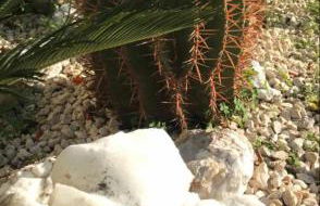 Scala dei Turchi The White Wall - Foto 33